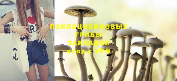 spice Беломорск