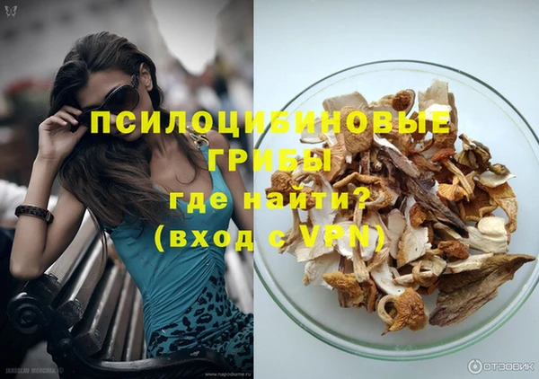 spice Беломорск
